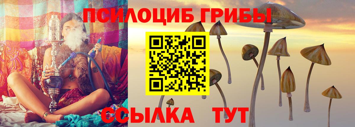 Псилоцибиновые грибы Cubensis  Вход с VPN  где купить   Ипатово 